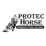 Protect Horse