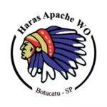 haras-apache-wo